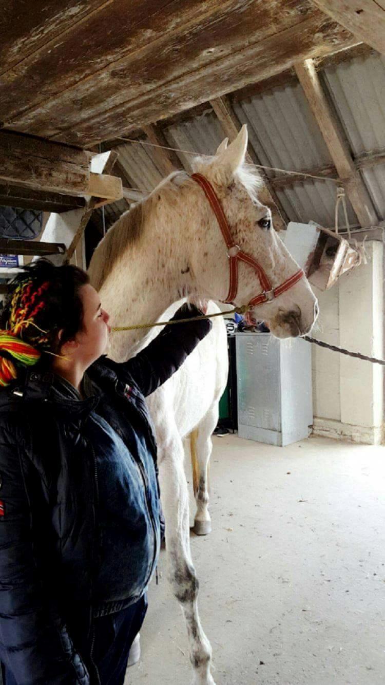 Anden særlig race Clinton - Billede taget da jeg var nede og prøve ham d. 23/3 - 16 billede 11