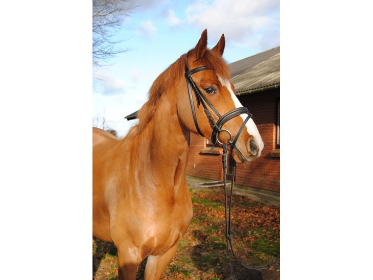 {{currentPhoto.altText}} billede {{currentPhoto.number}}