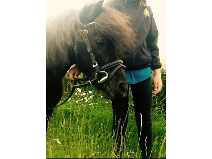 {{currentPhoto.altText}} billede {{currentPhoto.number}}