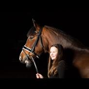 Irsk Sportspony Knockcullen Lass