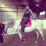 Knabstrupper Rughavens fenja