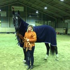 Anden særlig race MiniMax