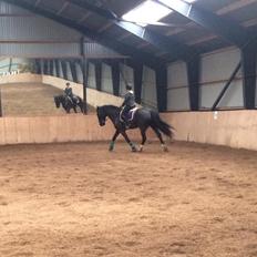 Anden særlig race MiniMax