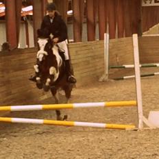 Anden særlig race Winnetou - Winnie