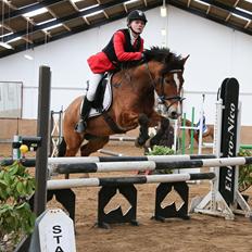 New Forest Kærgårdens Lukas