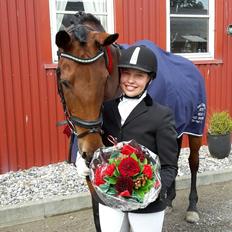 Dansk Varmblod Clair