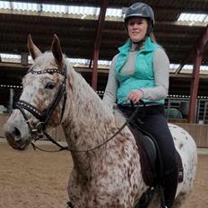 Knabstrupper Strauss' kichar