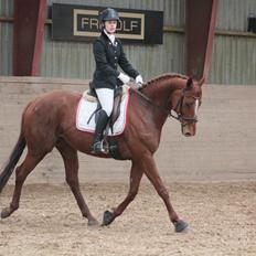 Fuldblod (XX) Red lightning xx (den)