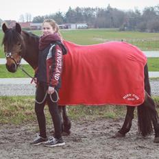 New Forest celine<3