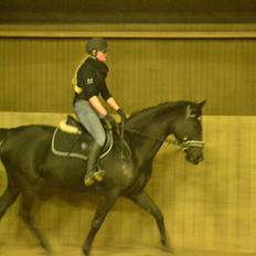Anden særlig race Shoeshine Lady (Soey)