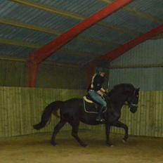 Anden særlig race Shoeshine Lady (Soey)