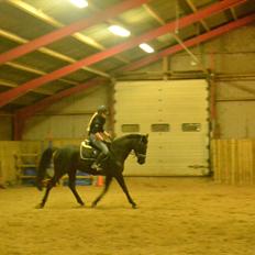 Anden særlig race Shoeshine Lady (Soey)