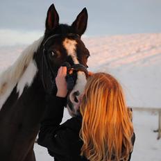 Pinto Vadekærgårds lille my