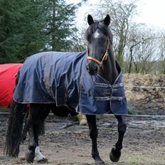 Anden særlig race Lightning R.I.P :'(