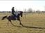Anden særlig race Winnetou - Winnie - My best.