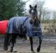 Anden særlig race Lightning R.I.P :'(