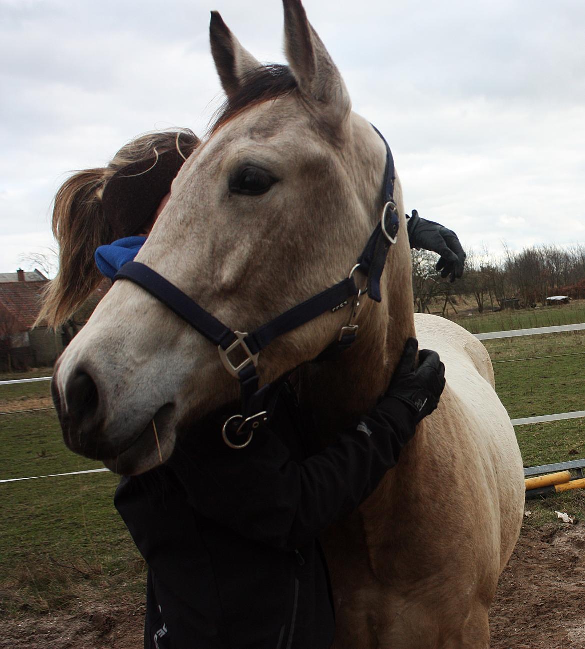 Anden særlig race | Sofus billede 13