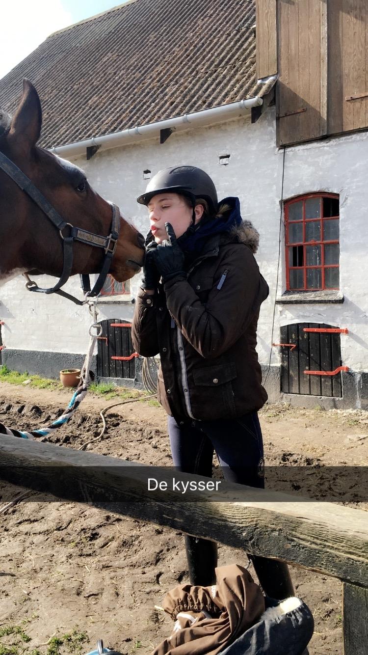 Anden særlig race Winnetou - Winnie - Kys <3 billede 2