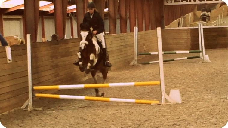 Anden særlig race Winnetou - Winnie - LSR - 0 FEJL billede 3