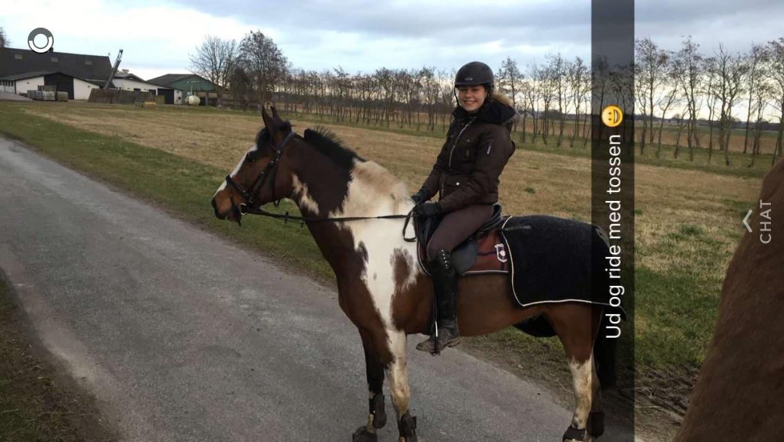 Anden særlig race Winnetou - Winnie billede 7