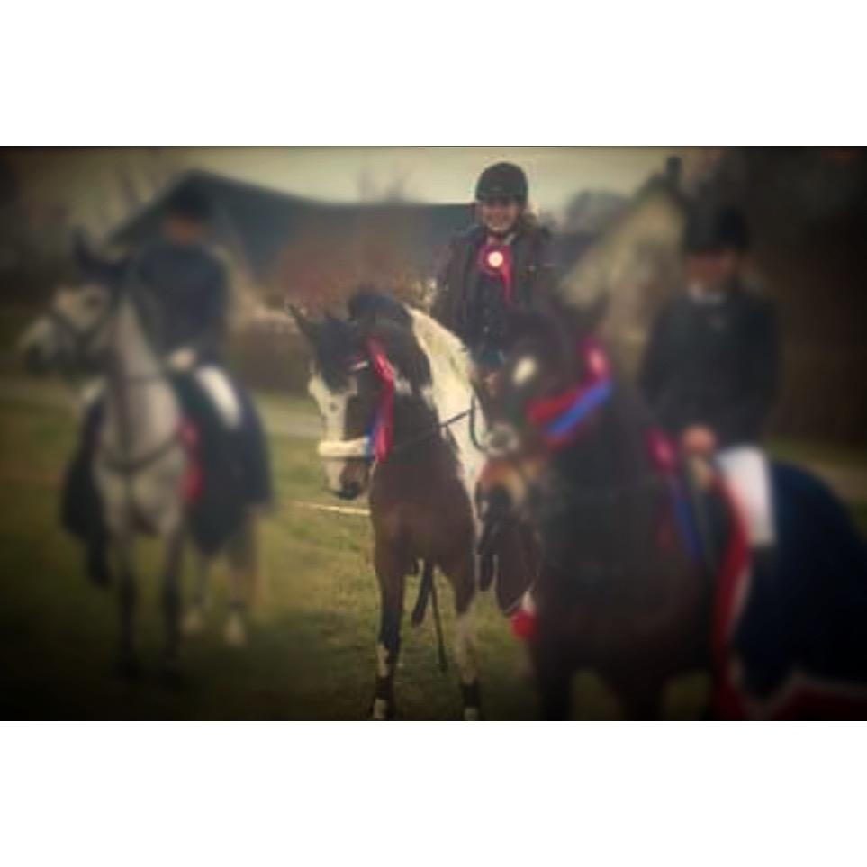 Anden særlig race Winnetou - Winnie - 2 røde rosetter fra vores første stævne. - LSR 0 FEJL. billede 9