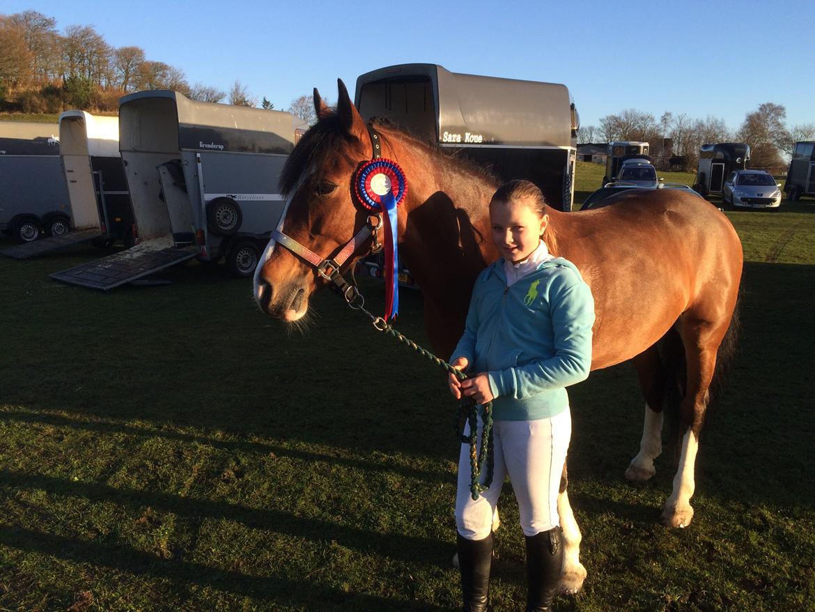 Irsk Sportspony Knockcullen Lass - vores føste stævne sammen  billede 12