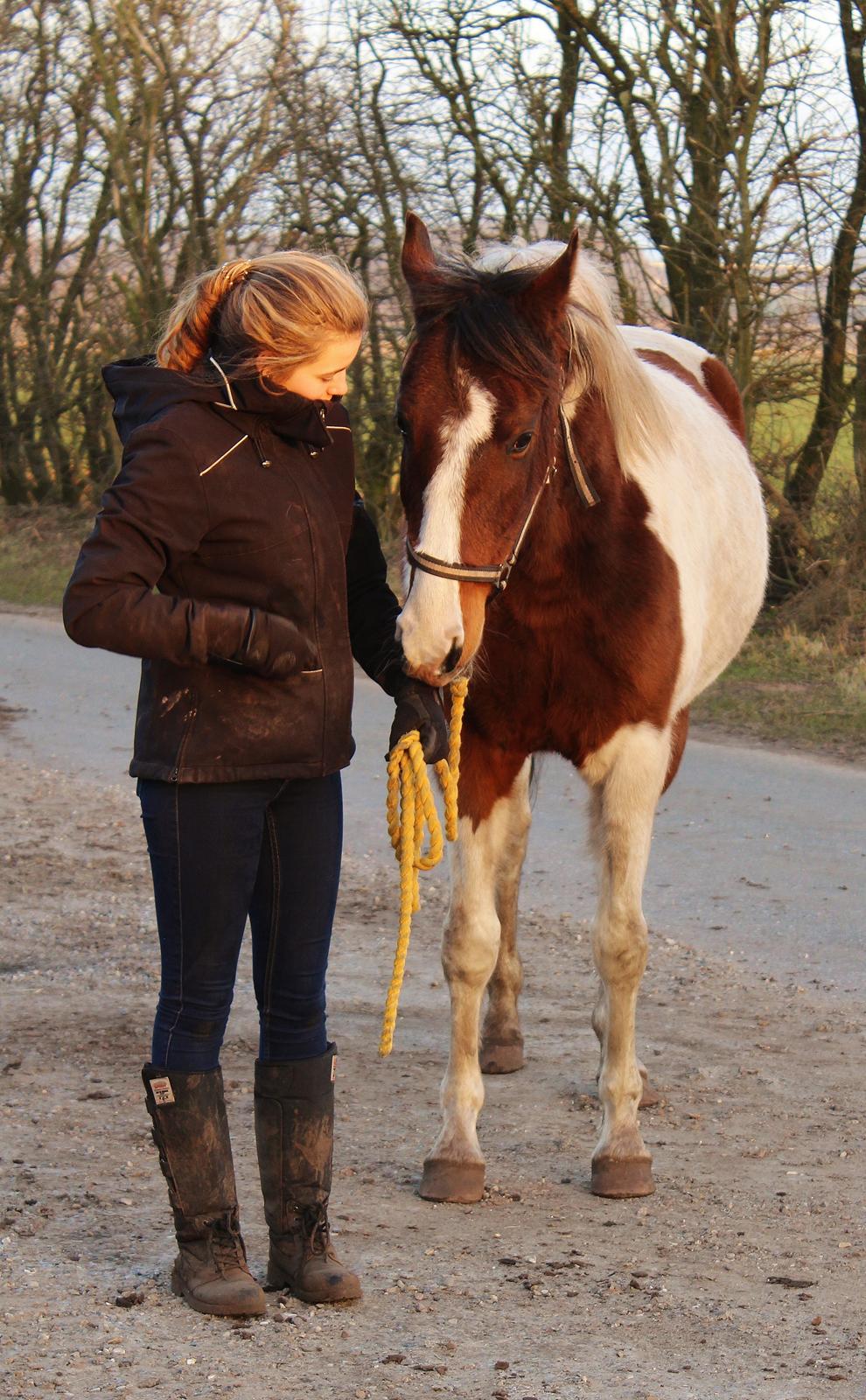 Anden særlig race Bugatti billede 15