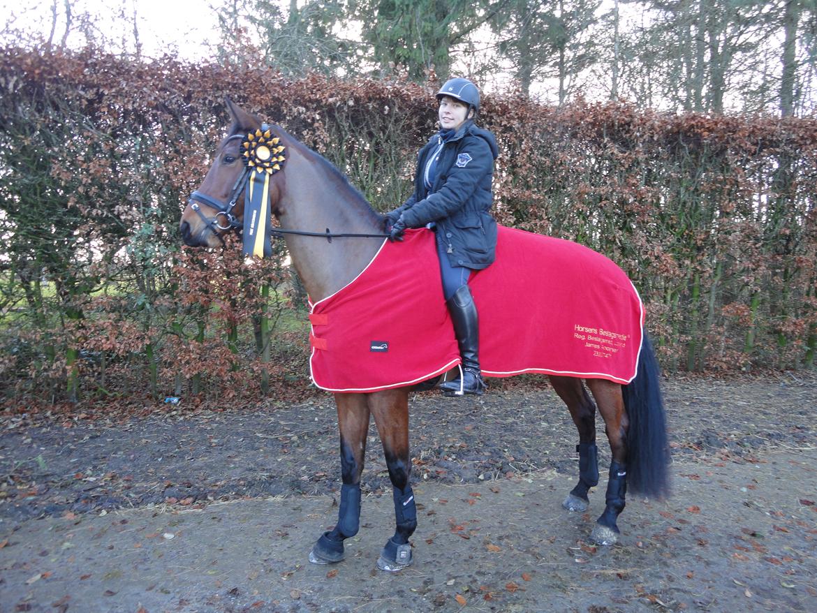 Dansk Varmblod Clair - Klubmester 2015 billede 13