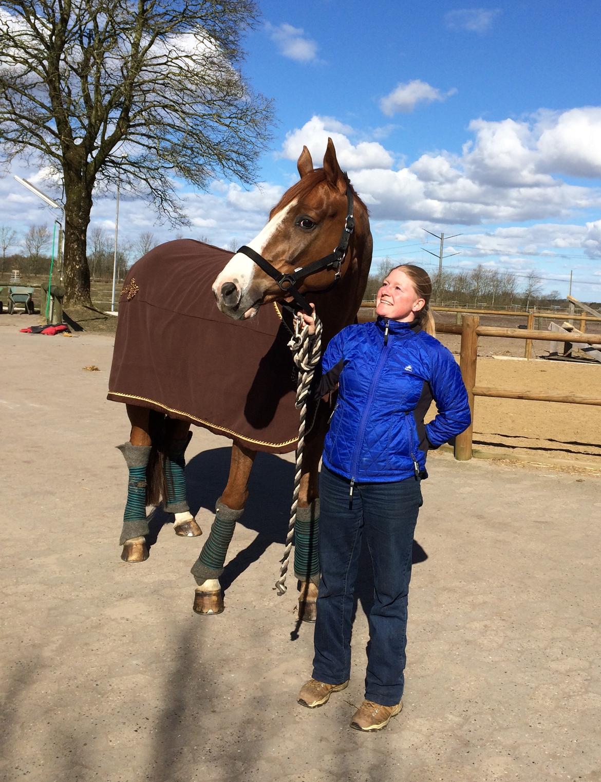 Dansk Varmblod Another Prince  Skovbo (Solgt) - stort smil :) billede 10