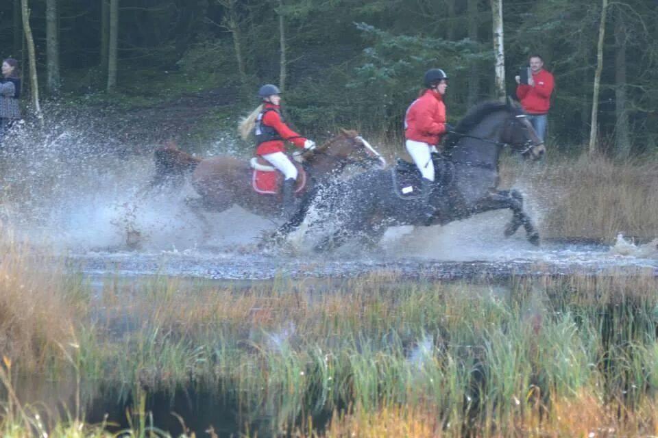 Anden særlig race Elmegårdens Mogcy billede 20