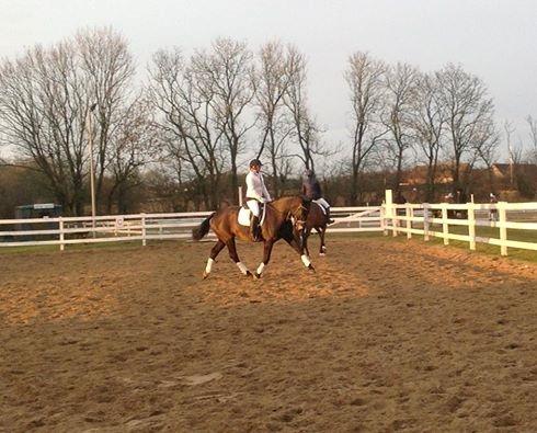 Oldenborg Schousboes Fie billede 2