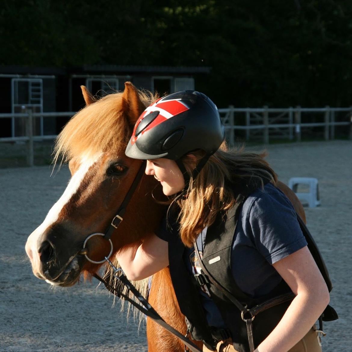 Islænder Hekla kranpi billede 16