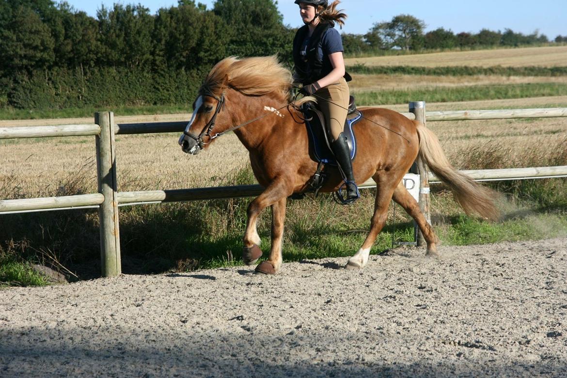 Islænder Hekla kranpi billede 17