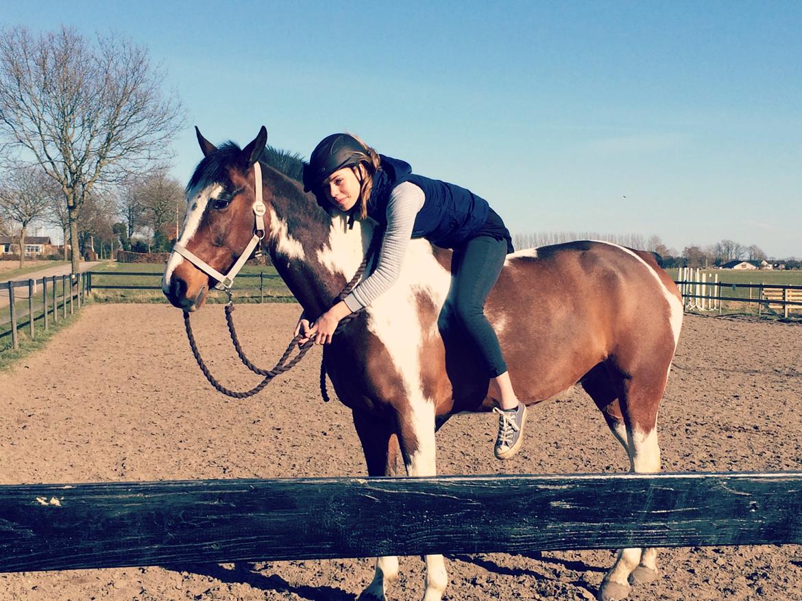 Anden særlig race Winnetou - Winnie - Hvis gud har skabt noget smukkere end hesten, har han beholdt det for sig selv. billede 14