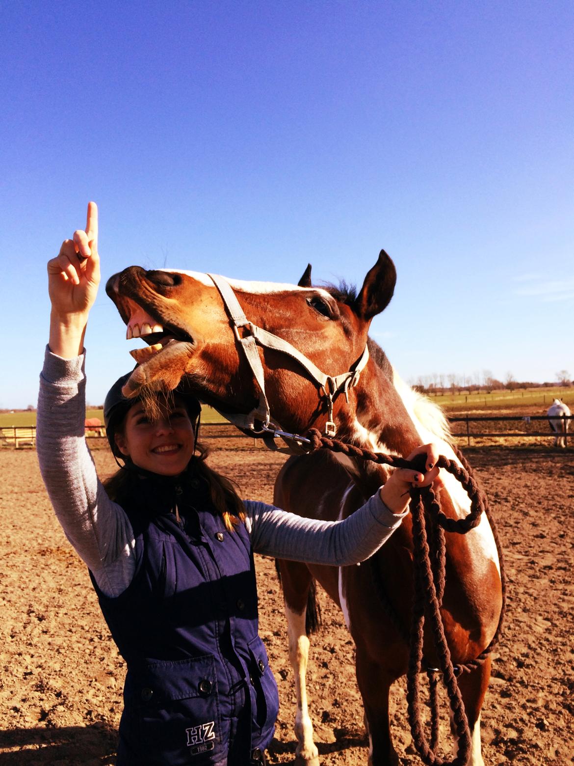 Anden særlig race Winnetou - Winnie - Smiiiiil billede 16