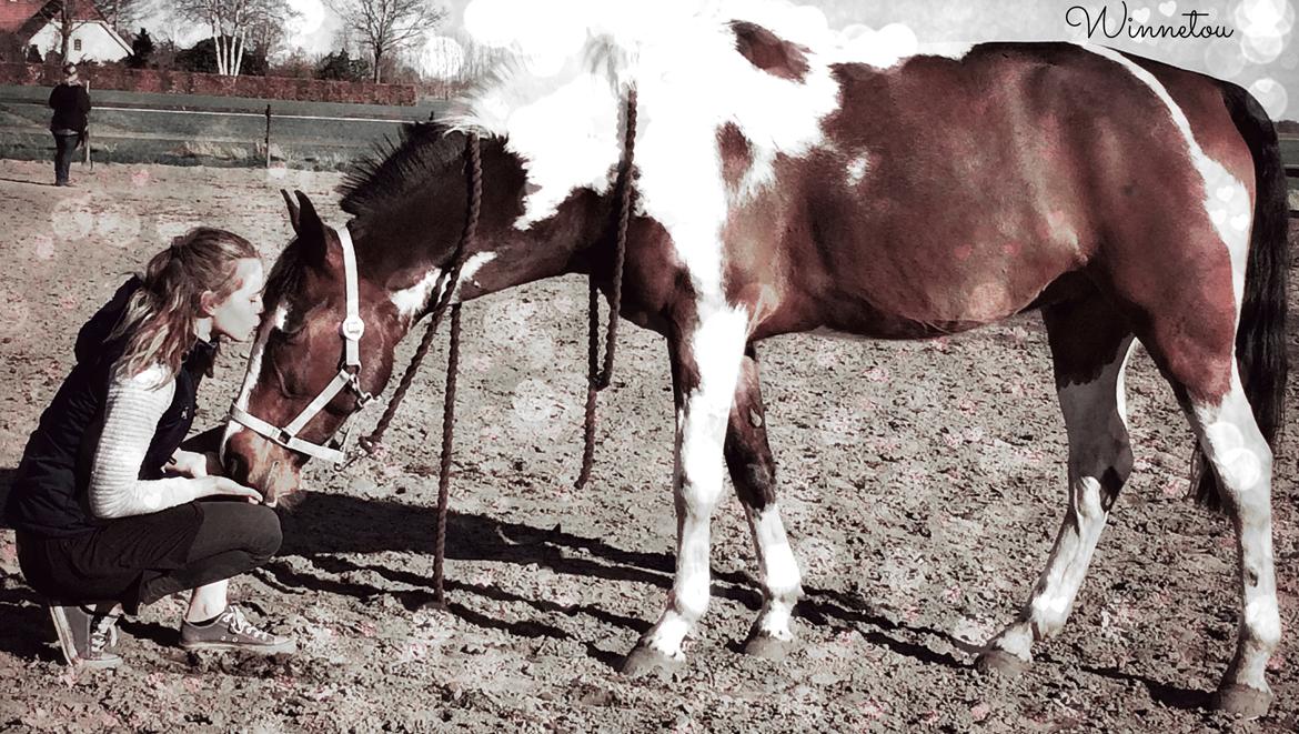 Anden særlig race Winnetou - Winnie - The best!  billede 15