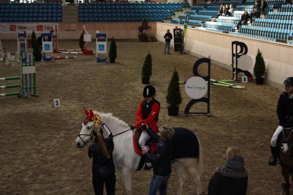 Anden særlig race MR. Mayson - Vilhelmsborg 26. marts 2016, 4. plads billede 17