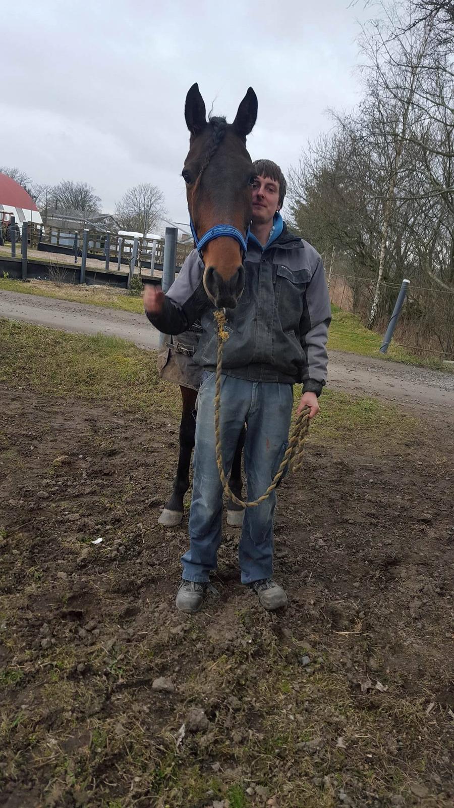 Traver RedFord billede 2