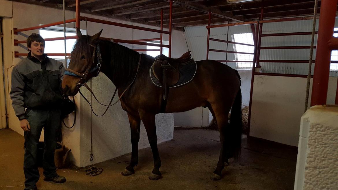 Traver RedFord billede 5