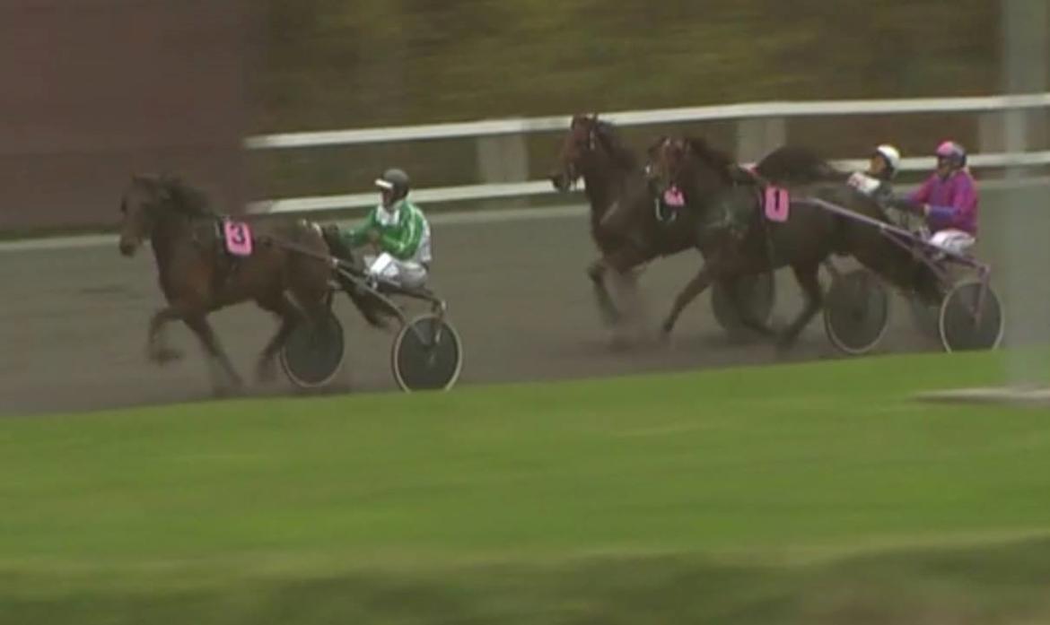 Traver RedFord billede 6