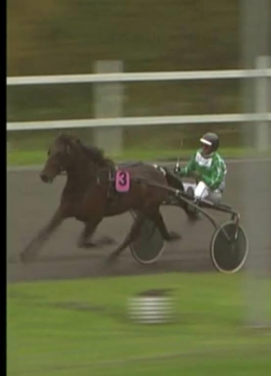 Traver RedFord billede 7