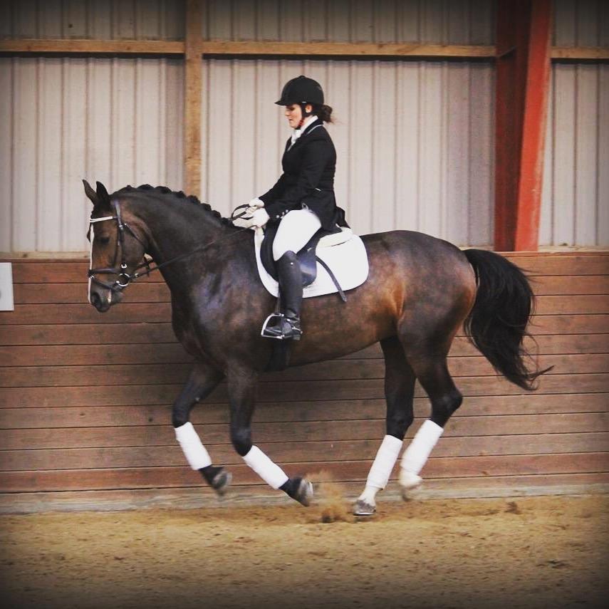 Anden særlig race Brommemølles Mirinda billede 2