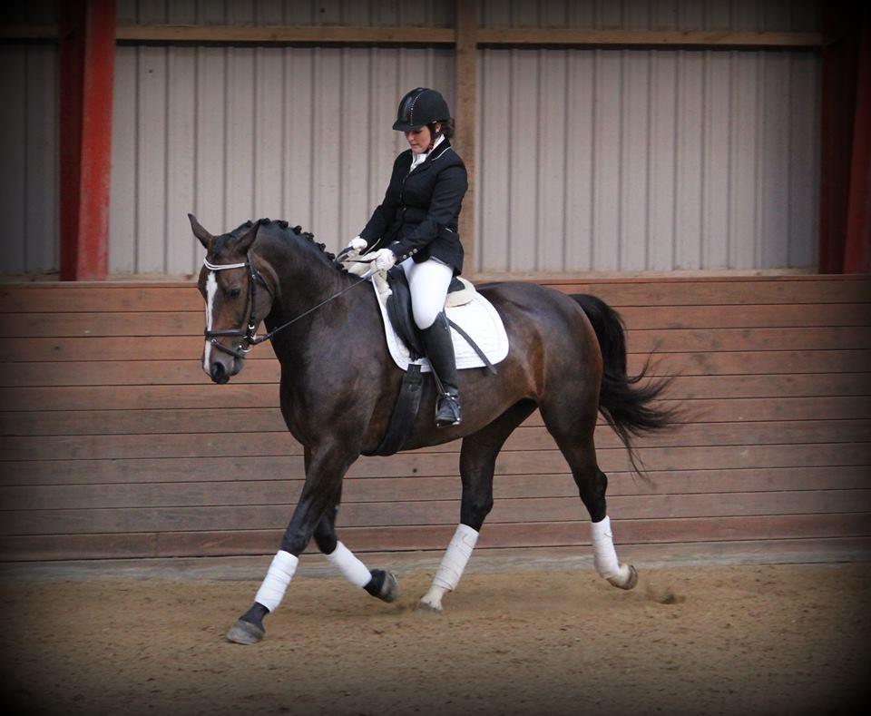 Anden særlig race Brommemølles Mirinda billede 1