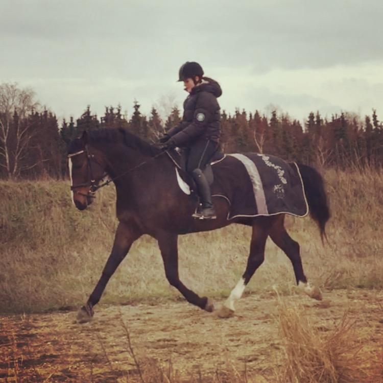 Anden særlig race Brommemølles Mirinda billede 3