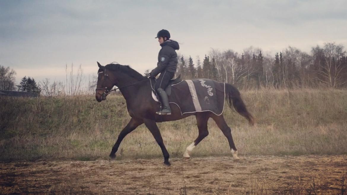 Anden særlig race Brommemølles Mirinda billede 4
