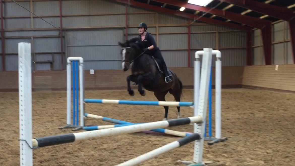 Anden særlig race Brommemølles Mirinda billede 6