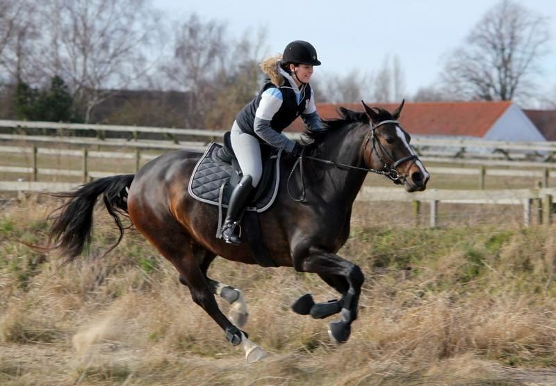 Anden særlig race Brommemølles Mirinda billede 8
