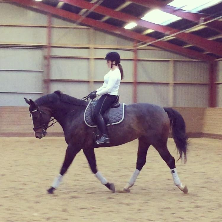 Anden særlig race Brommemølles Mirinda billede 10