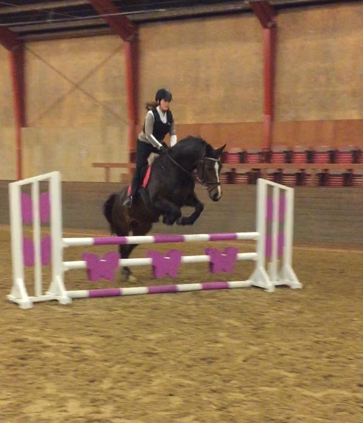 Anden særlig race Brommemølles Mirinda billede 11