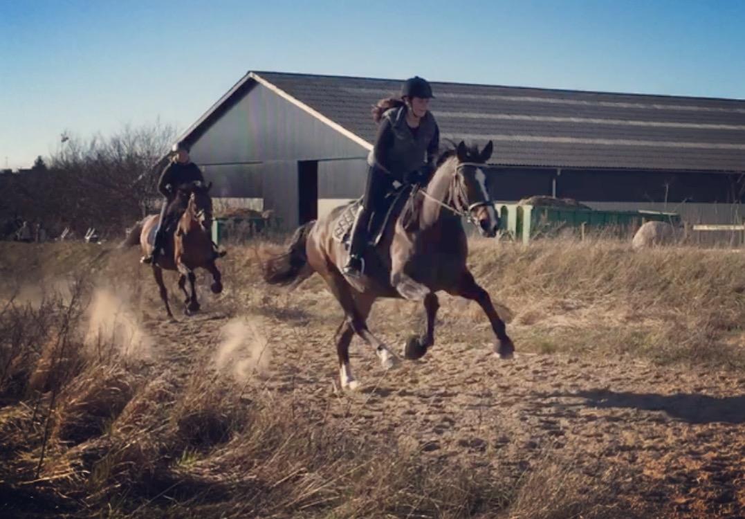 Anden særlig race Brommemølles Mirinda billede 5